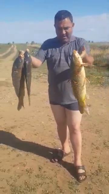 13 февраля 2025 г. смотреть онлайн