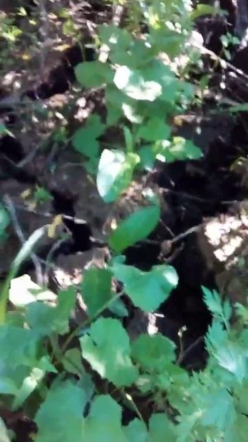 23.06.2022 на месте акции Вода России 2020 водопад на реке Та?