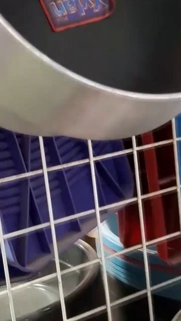 дорогие кастрюльки елкин свет #филиппины #philippinestravelvlog смотреть онлайн