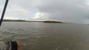 В ЭТИХ ДРОВАХ ПОЛНО СУДАКА, ДАК ЕЩЕ И КРОКОДИЛЫ ЕСТЬ!Рыбалка на джиг осенью