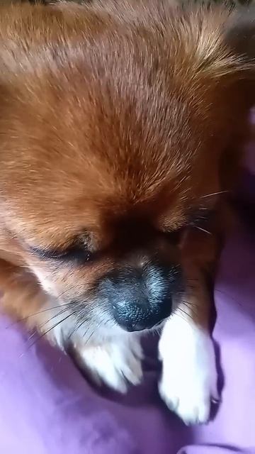 Здесь,сейчас.#лайк#подпишись#like#сегодня#онлайн#тренд#т смотреть онлайн