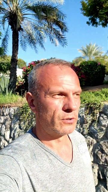 Трейдинг или работа?! Трейдинг или жизнь?! Что выбрать? смотреть онлайн