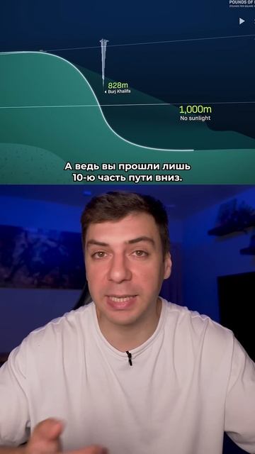 ГЛУБИНА ОКЕАНА #факты #океан #интересное #интересныефа смотреть онлайн