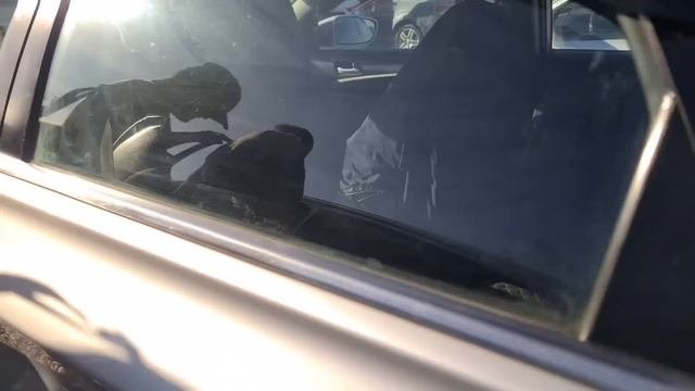 Мошинбозори Душанбе//Opel astra G/Opel astra H/HUNDAI SANATA/HYUNDAI AVANTE/KIA K смотреть онлайн