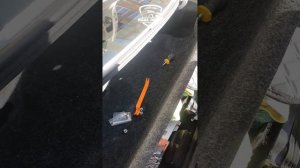 Замена лампы номерного знака на Toyota Camry XV50 американец