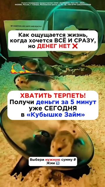 Кубышка Займ — быстрые деньги без ожиданий!