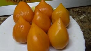 Хочу выразить свой восторг! Томат Ночная свеча. Моя новинка 2024 года.