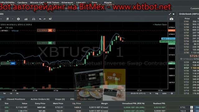 Несколько минут торговли.XBTBot автотрейдинг для BitMex.