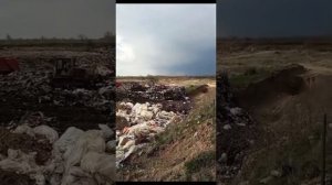 Рукотворная экологическая катастрофа в Ростовской области