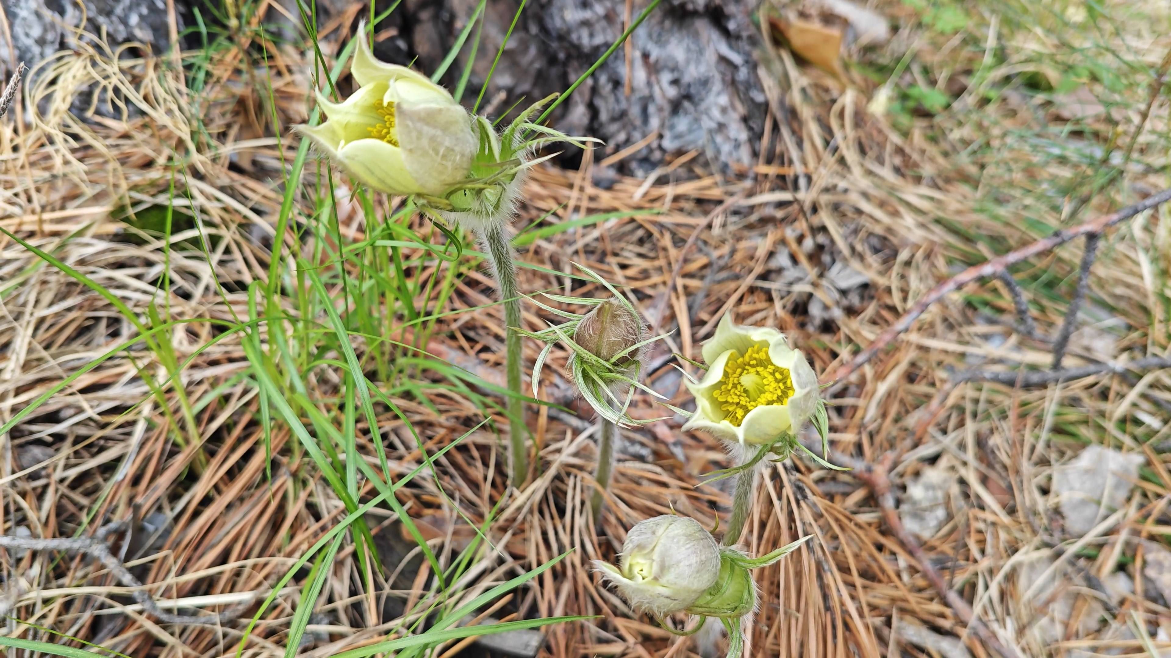 Строим дом. Чердак утеплен. Бездельничаю.