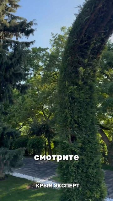 КРЫМ смотреть онлайн