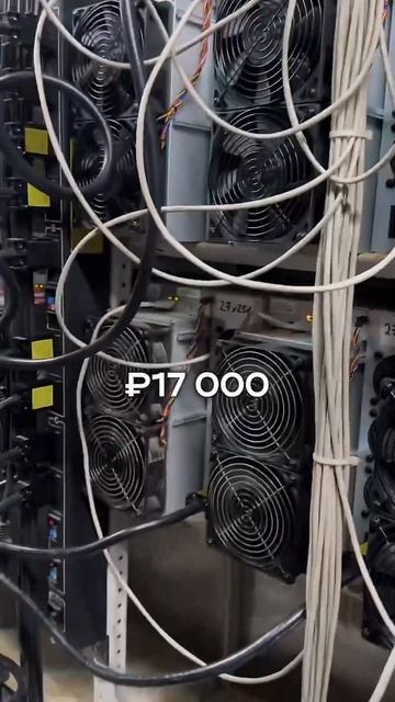 Майнить дома или на хостинге? Кажется, дома дешевле. То смотреть онлайн