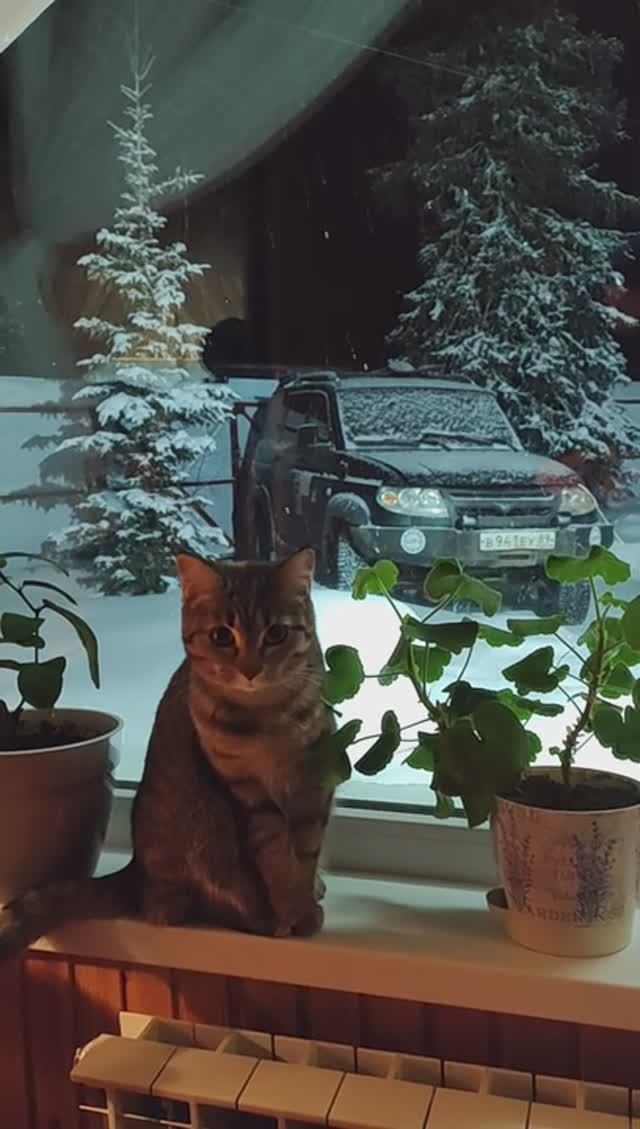 ну ни сказка ли?)