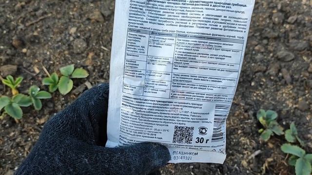 ЧТО ВНЕСТИ В ЛУНКУ ПРИ ПОСАДКЕ КЛУБНИКИ! Успейте внести в лунку 3 Лучших Удобрения для Клубники смотреть онлайн