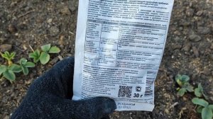 ЧТО ВНЕСТИ В ЛУНКУ ПРИ ПОСАДКЕ КЛУБНИКИ! Успейте внести в лунку 3 Лучших Удобрения для Клубники