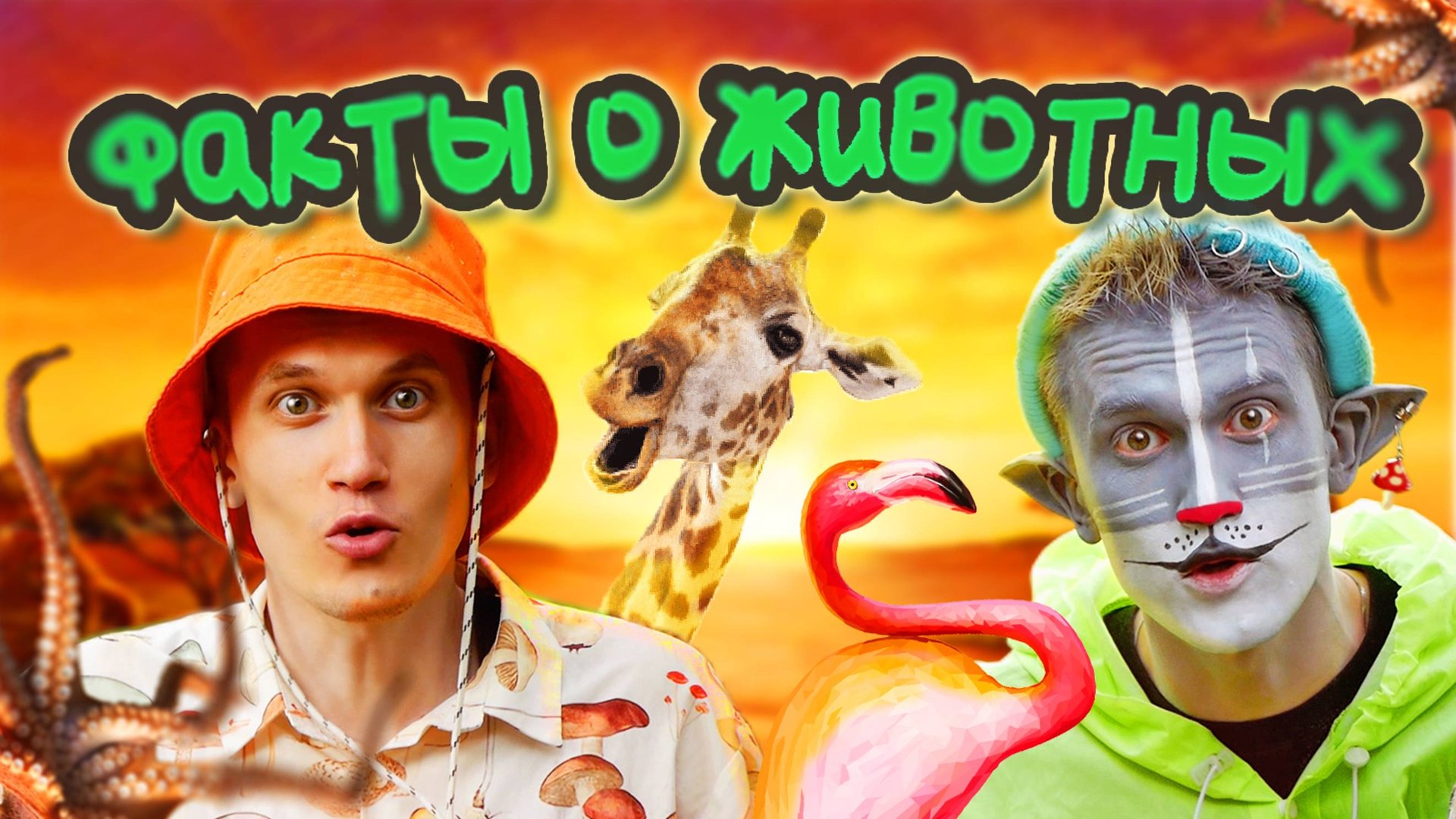 КОТ УЧЁНЫЙ | ФАКТЫ О ДИКОЙ ПРИРОДЕ смотреть онлайн