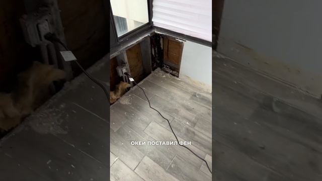 За полтора дня заработал 1500$. Показываю что делал 🔥 смотреть онлайн