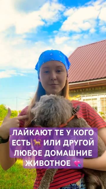 Какое животное у вас есть дома? 😊 У меня 2 🐈, 🐩, 10 🐌, ? смотреть онлайн