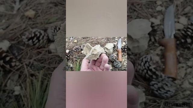 Где Найти Уникальный Агат Халцедон . Яшма. Палеонтология (Окаменелости) смотреть онлайн