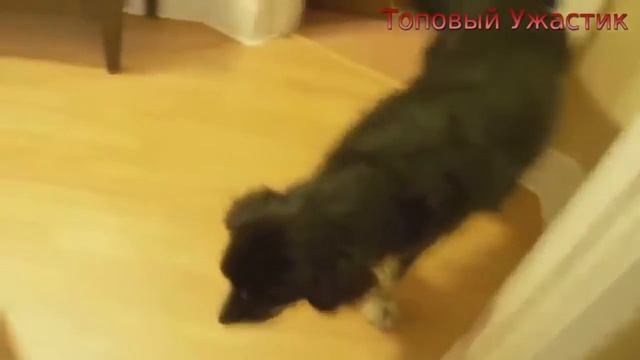 Топовый ужастик !!! Смотреть всем !!!! Призраки !!! смотреть онлайн