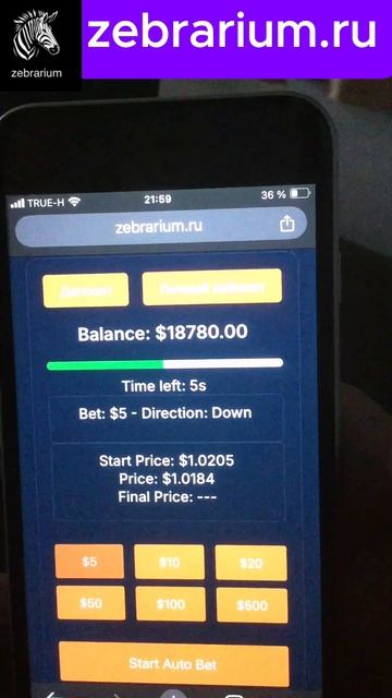 Бинарные опционы Торговые сигналы на сегодня zebrarium смотреть онлайн