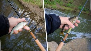 Танаго на районе, пробежка по точкам