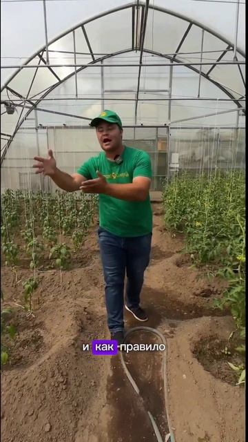 СОВМЕСТНЫЕ ПОСАДКИ! Что с чем можно выращивать в одной смотреть онлайн