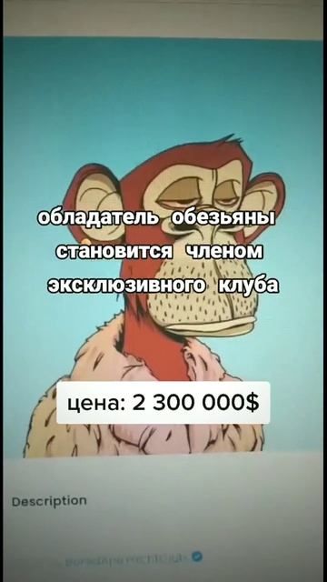 телега кому реально интересно тема: amospicus #юмор #крипто смотреть онлайн