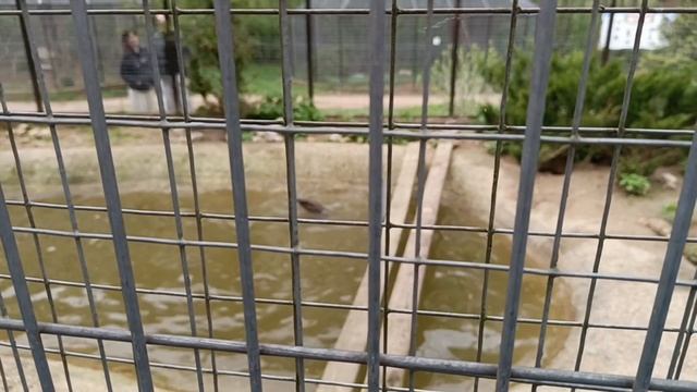 Парк птиц Воробьи.Едем в Калугу на майские праздники смотреть онлайн