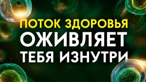 Ты не случайно здесь — сегодня начнётся твоё ОЗДОРОВЛЕНИЕ!