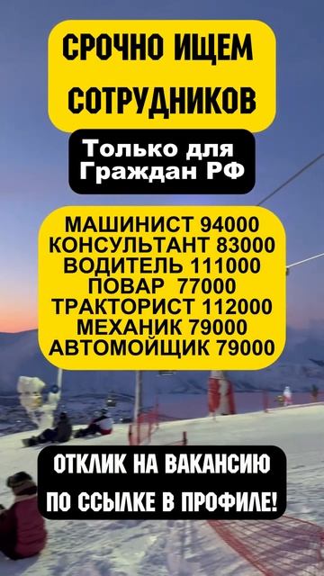 Все вакансии в тг! #работа #вакансии смотреть онлайн