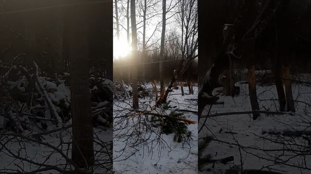 У детей должно быть детство а не долгая учёба чтобы мн? смотреть онлайн