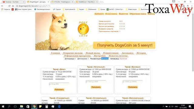 DogeMagnit - обзор инвестиционного проекта | инвестировани? смотреть онлайн