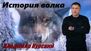 ВЛАДИМИР КУРСКИЙ - «ИСТОРИЯ ВОЛКА». АЛЬБОМ «ВОЛЧАРА».