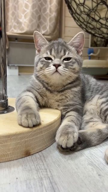 Дело было Вечером - Делать было нечего смотреть онлайн