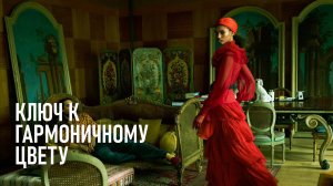 Три принципа для гармоничного цвета в портретной фотографии