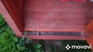 Дачный туалет и душ своими руками