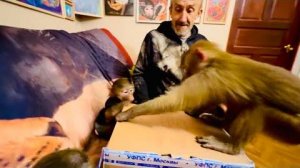 Как нужно ПРАВИЛЬНО РАСПАКОВЫВАТЬ посылки знает только звезда Люська)((