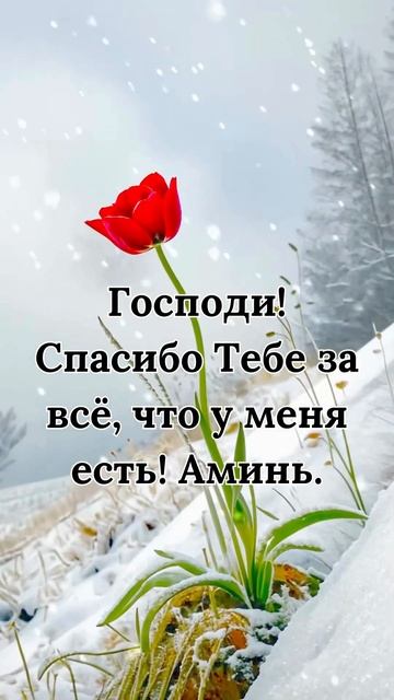 Бог! Спасибо за все, что у меня есть! Аминь. смотреть онлайн