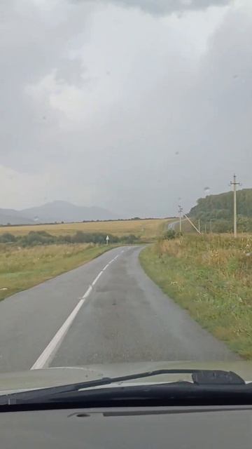 Ищем берёзы и грибы #устькаменогорск смотреть онлайн