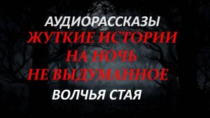 СТРАШНЫЕ РАССКАЗЫ НА НОЧЬ-ВОЛЧЬЯ СТАЯ