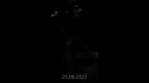 Наши первые 365 дней на Алтае после переезда.