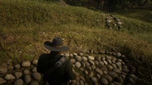 Red Dead Redemption 2.Сокровища Ядовитой Тропы 3