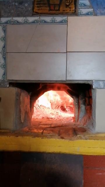 Рисовал на печке, но портится) #funny #лесной #печка смотреть онлайн