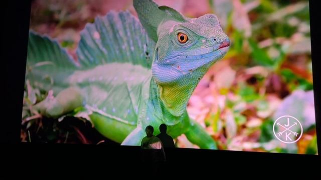 Проверили проектор Vidda c2 ultra в настоящем Кинотеатре смотреть онлайн