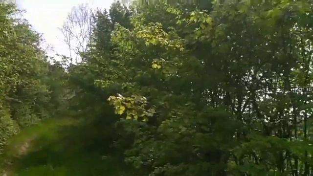 ТЕЩИНЫ Пирожки/Интересные истории из жизни. смотреть онлайн