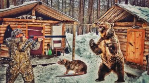 ТАЁЖНЫЙ РУБЕЖ. ЗАЩИЩАЕМ ЛЕСНУЮ ИЗБУ ОТ МЫШЕЙ И МЕДВЕДЕЙ. ЧУТЬ НЕ УБИЛО В ТАЙГЕ.