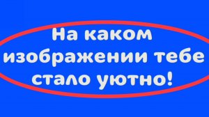 На каком изображении тебе стало уютно в чикен ган!