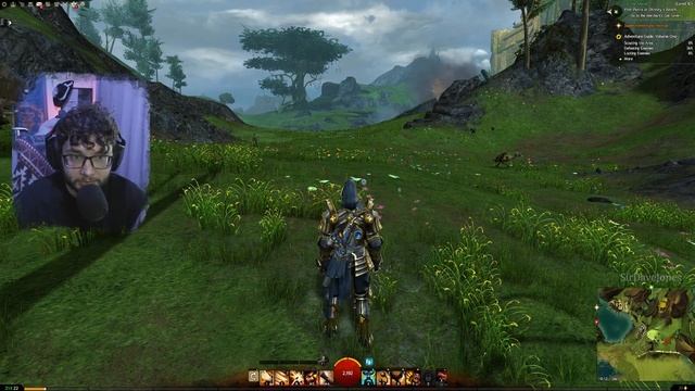 GUILD WARS 2 - MMORPG В КОТОРУЮ ТЕБЕ СТОИТ ПОИГРАТЬ В 2025 ГОДУ смотреть онлайн