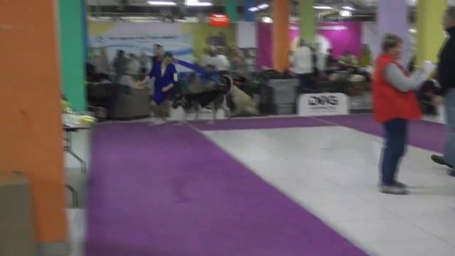 Гетман смотреть онлайн